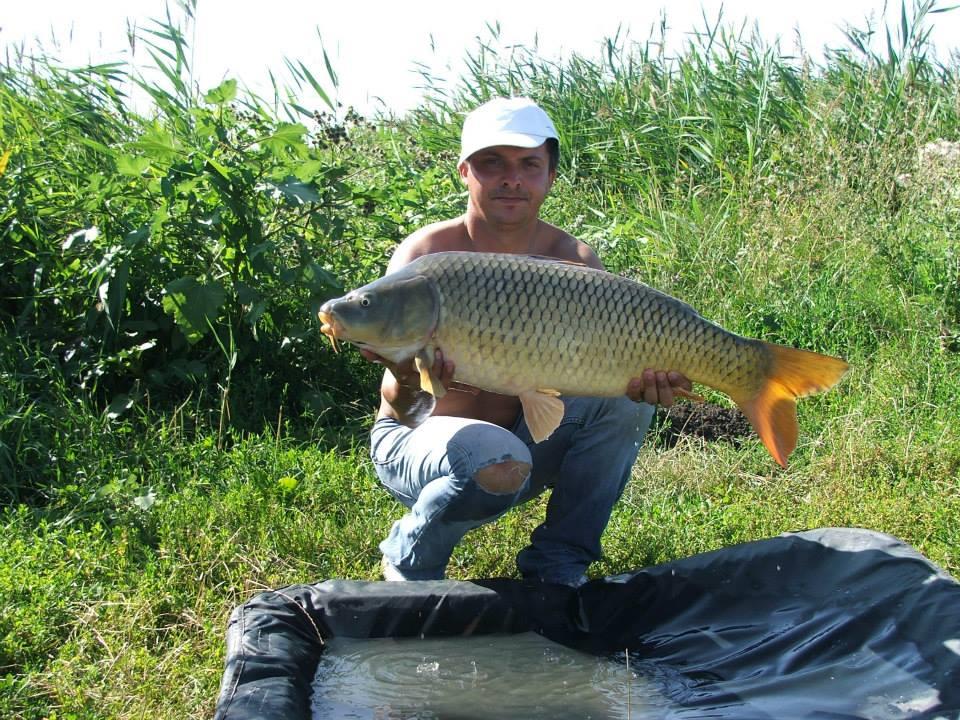 Lates 5-8 august 2013 ...cu prietenii - 9954886197753547563361967448234n.jpg